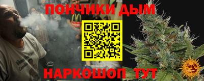 индика Гагарин