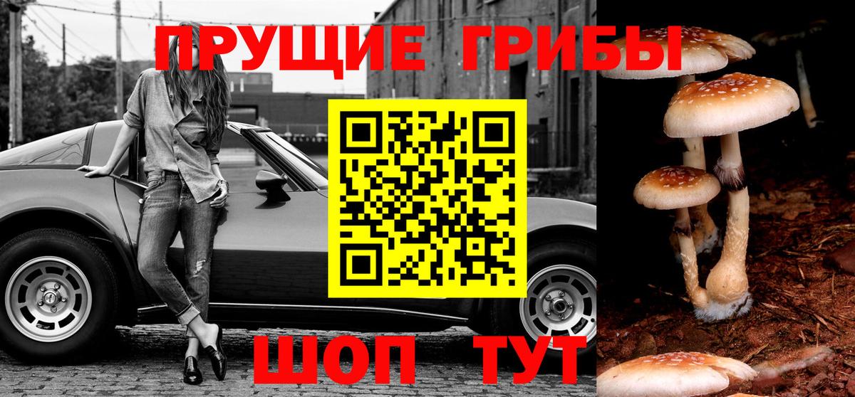 Симферополь  как найти закладки  Вход с VPN  Галлюциногенные грибы Psilocybe 