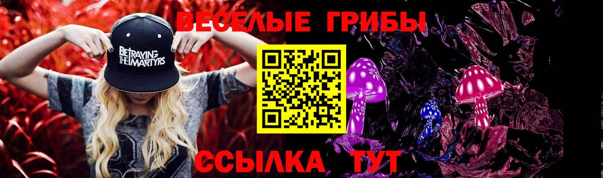 Псилоцибиновые грибы Cubensis Симферополь